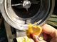 pulpa de la fruta de 380V 50HZ 10T/Hr que hace la máquina para el mango